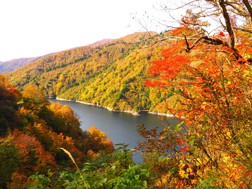 奥只見湖の紅葉