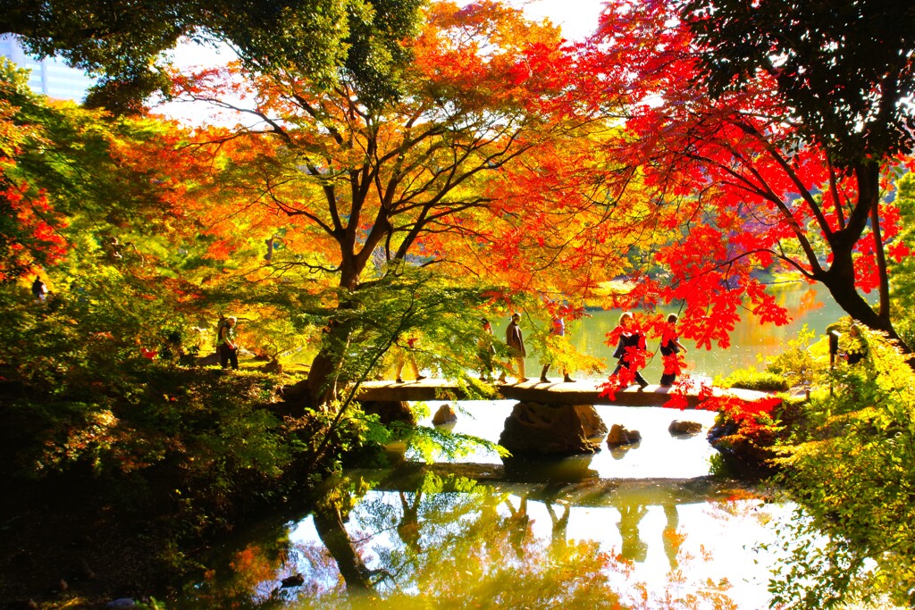 晩秋の公園