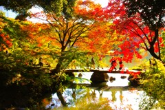 晩秋の公園