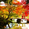 晩秋の公園