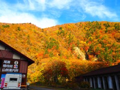 尾瀬、檜枝岐の紅葉