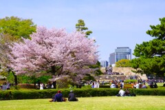 春の陽に誘われて