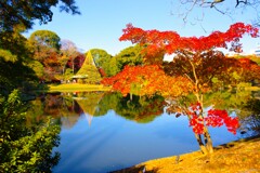彩り