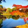 彩り