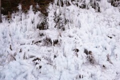 湧き水のいたずら