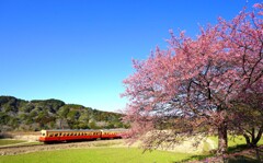 里山の春、ローカル線に乗って