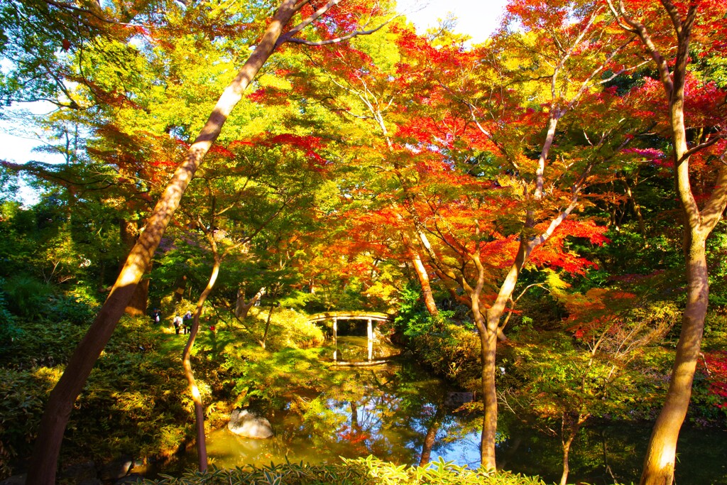 彩り