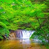 夏の水辺