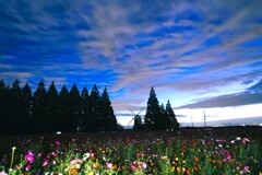 夜明け前