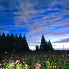 夜明け前