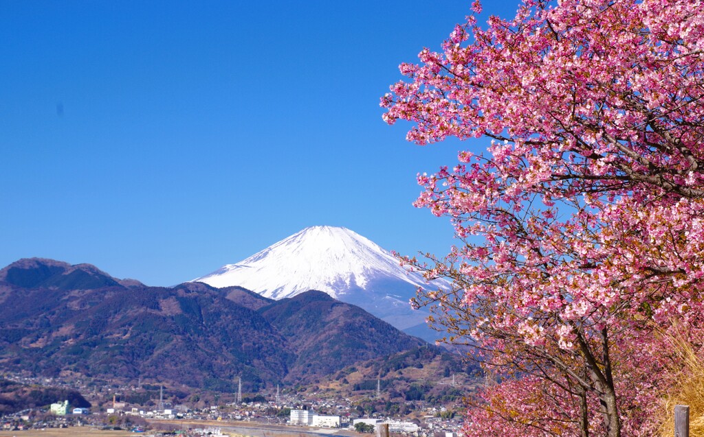 晴天の朝