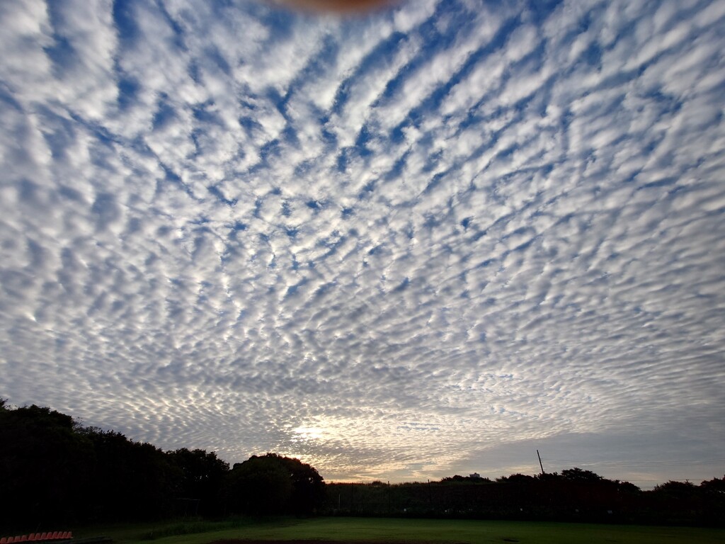 秋の雲