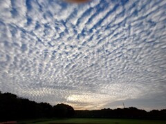 秋の雲