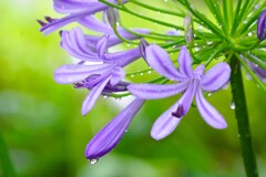 雨の日