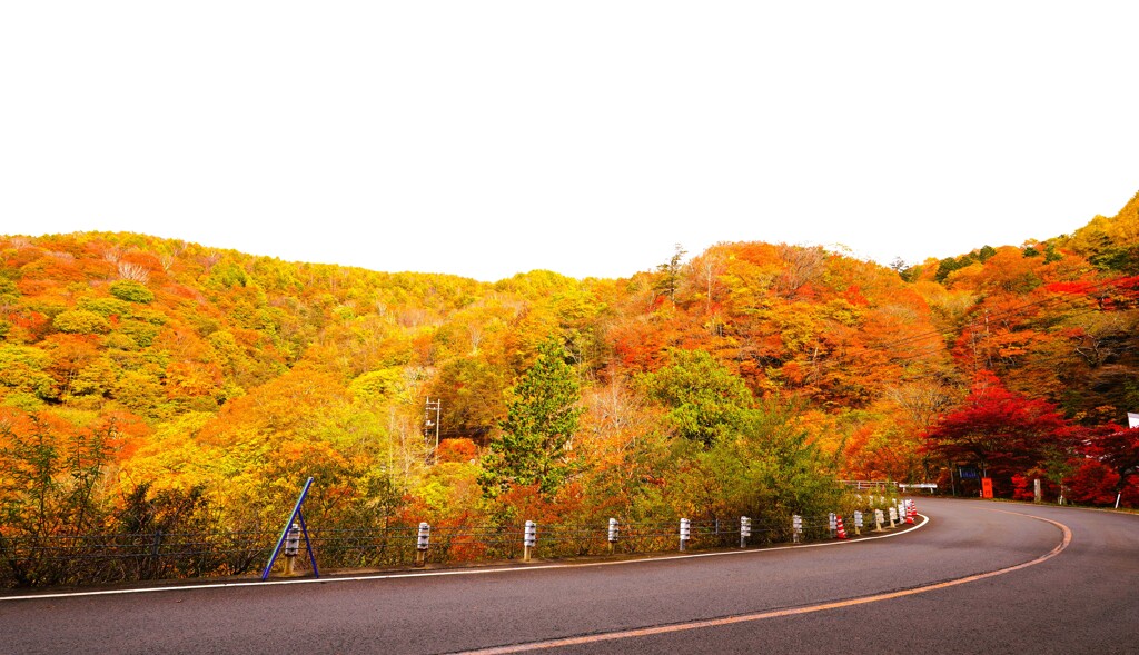 日塩もみじライン