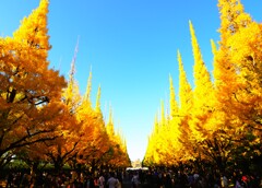 青空に輝く