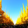 青空に輝く
