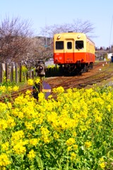 里山の春、ローカル線に乗って