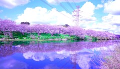 花見川
