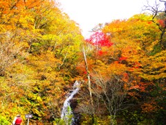 日塩峠、白滝の紅葉