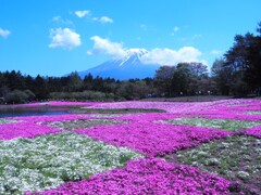 5月の青空