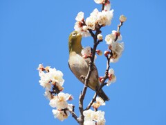 密に夢中