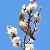 密に夢中