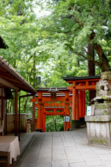 緑と赤