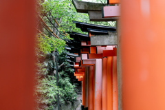 鳥居の外側