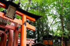 鳥居と新緑