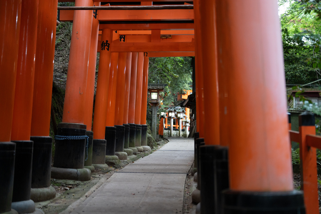 鳥居の道