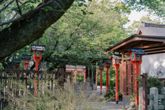 神社の裏口