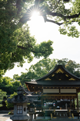 照りつける太陽と神社