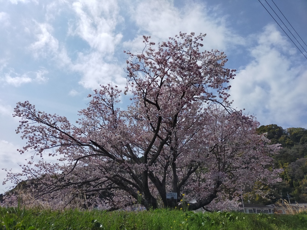 つかのまの晴れ間に