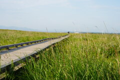 DSC09200