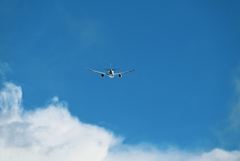 夏の空