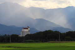 農協の建物 　降る光