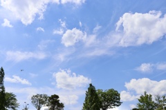 初夏の青空