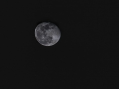 練習撮影　十七夜