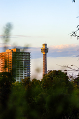 横浜マリンタワー
