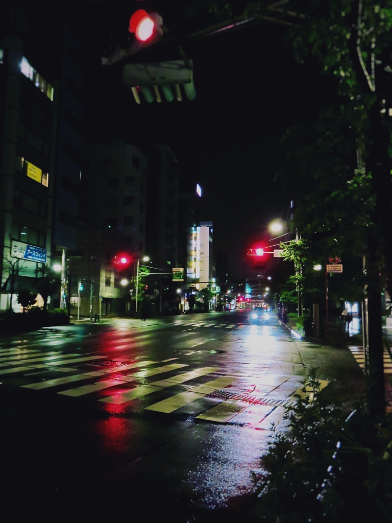 雨あがり1