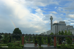 横浜山下公園　虹