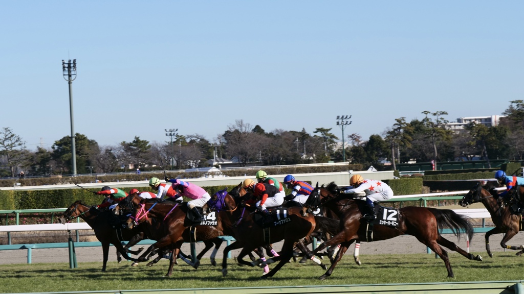 中山競馬場
