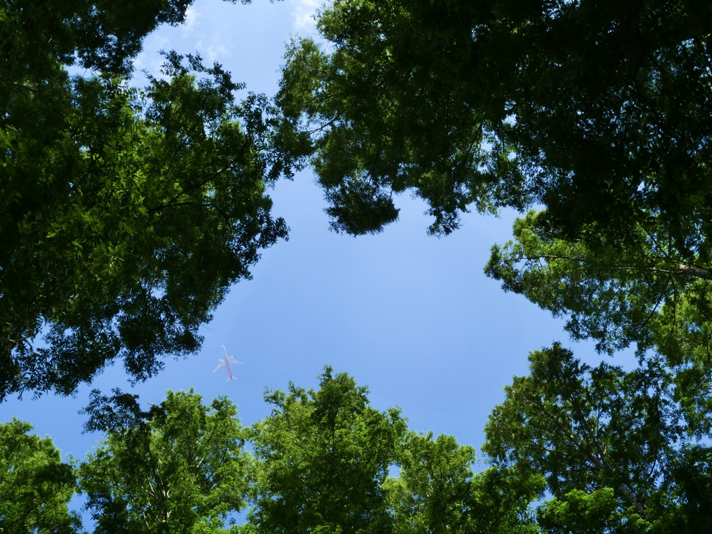 水元公園