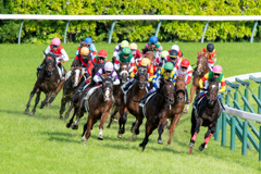 最後のコーナー、どの馬が仕掛けてくるのか