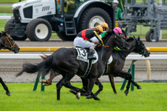 とある日の東京競馬場