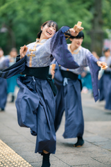 光が丘よさこい
