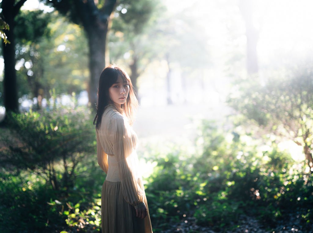 ひかりみちあふれる