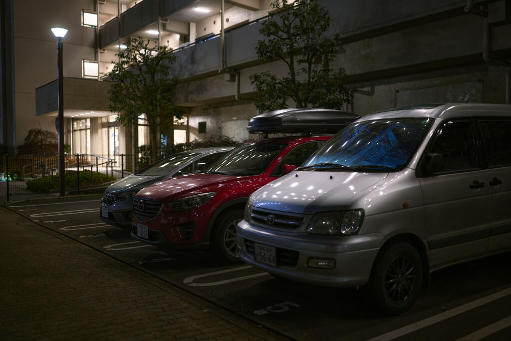 輝く真珠のよう