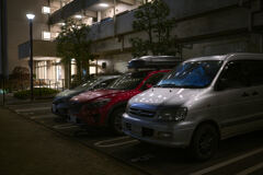 輝く真珠のよう